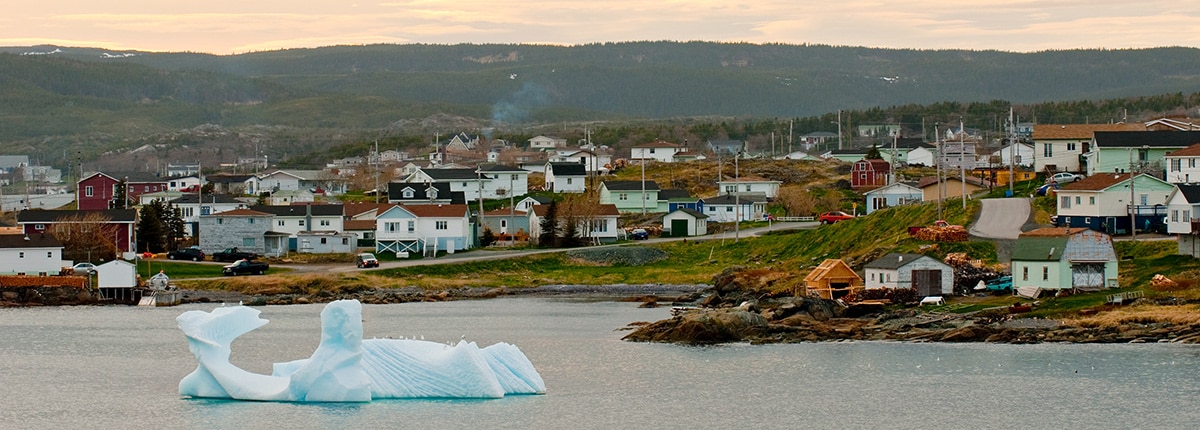 see icebergs in st anthony, canada