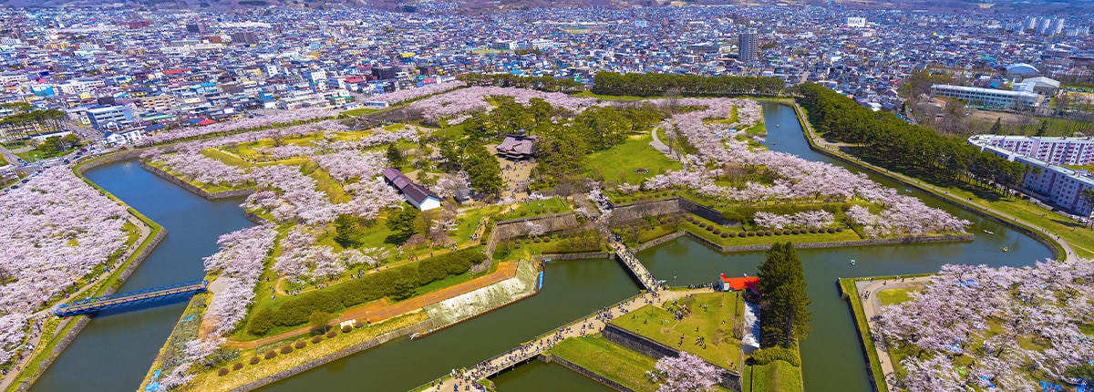 aerial view of star-shaped island goryokaku park in hakodate