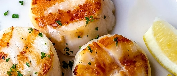 Broiled Sea Scallops