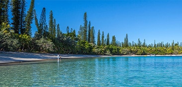 Cruise to the South Pacific.