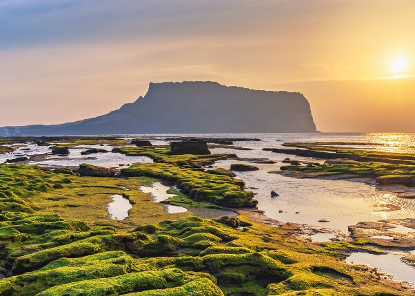 view of a beautiful sunrise in jeju south korea