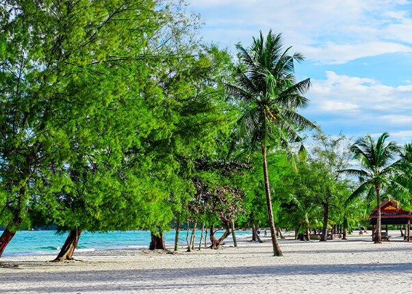 view of the beach and trees in sihanoukville cambodia