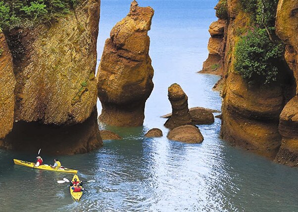 take a kayak tour of the famous hopewell rocks