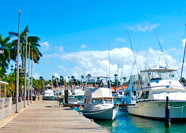 marina dock in aruba