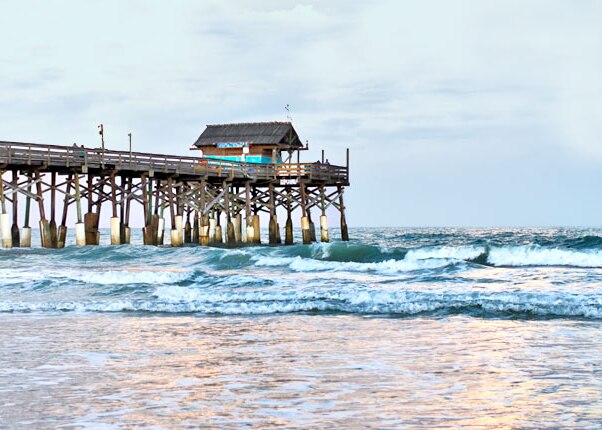 enjoy the beautiful landscape in port canaveral
