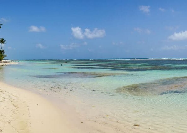 a beautiful beach in guadeloupe, fwi