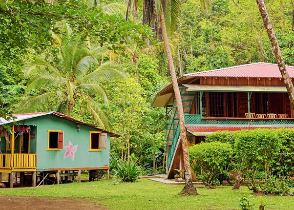 stroll through the jungles of limon