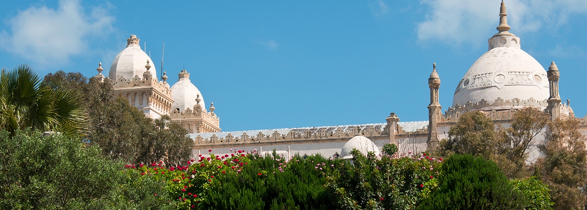 skyline of a building in tunis with trees