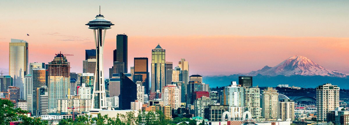 view of the space needle and seattle skyline