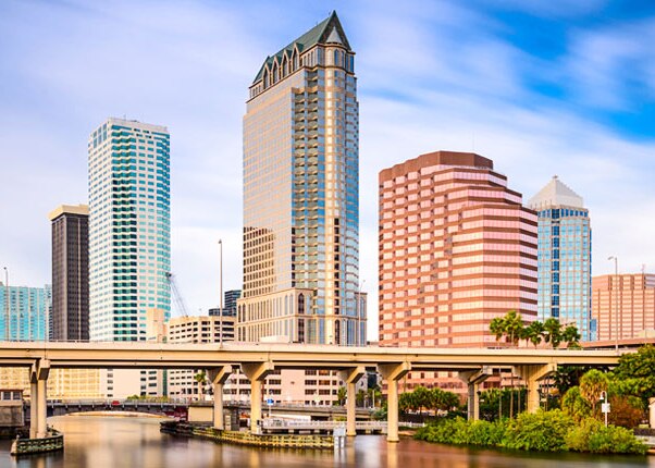 enjoy the view of the tampa skyline