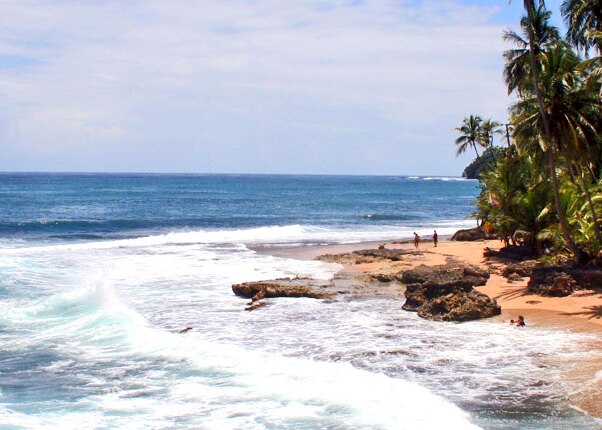 scenic shot of the caribbean coast at manzanillo