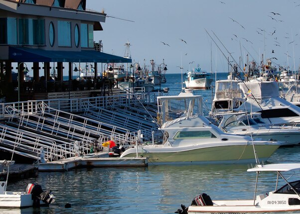 view of the manta harbor