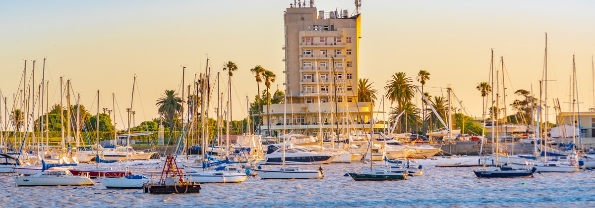 close up view of a marine dock in montevideo, uruguay