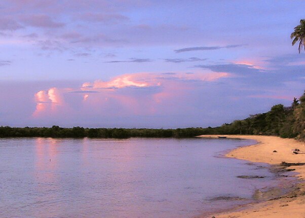 view of the beach and palm trees in lautoka fiji
