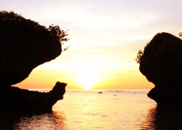 abstract nature on guams beach