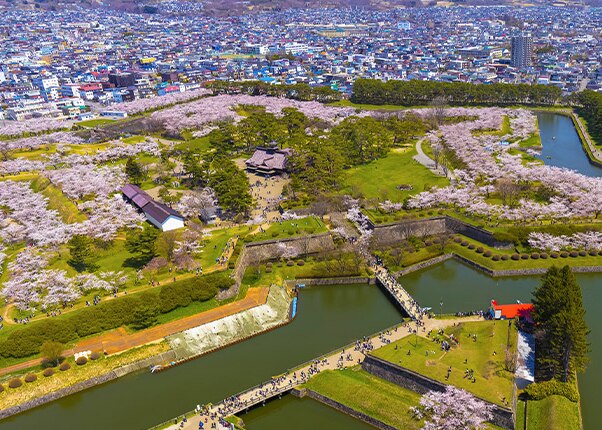 aerial view of star-shaped island goryokaku park in hakodate