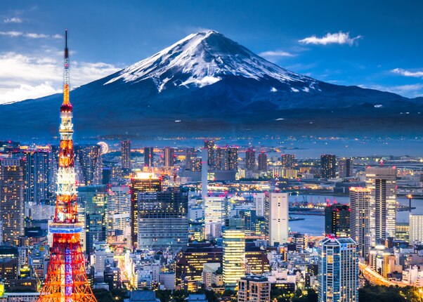 panoramic view of the city and a mountain in tokyo, japan