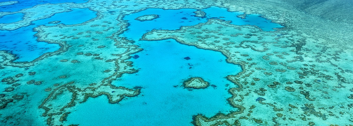 The beauty of the Great Barrier Reef, Australia