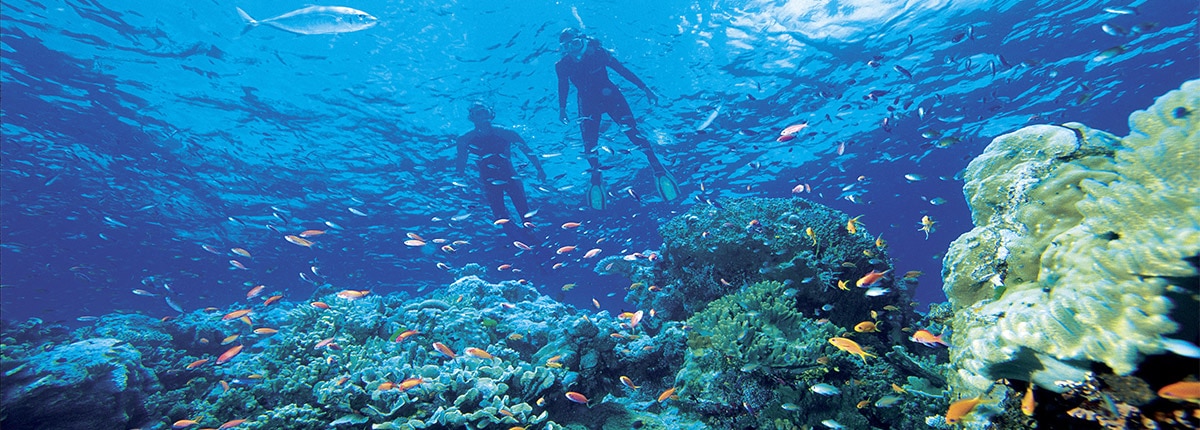 Snorkelling the Great Barrier Reef, Australia