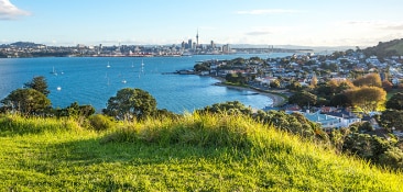 a view of auckland 