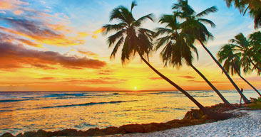 sunset on a white sand beach in barbados