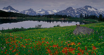 take in breathtaking views of mountains in alaska