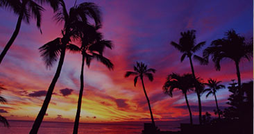 view the beautiful sunsets in hawaii
