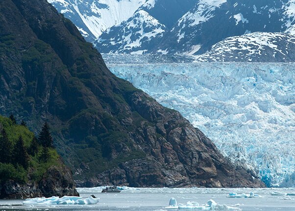 cruise around alaskan mountains of tracy arm fjord