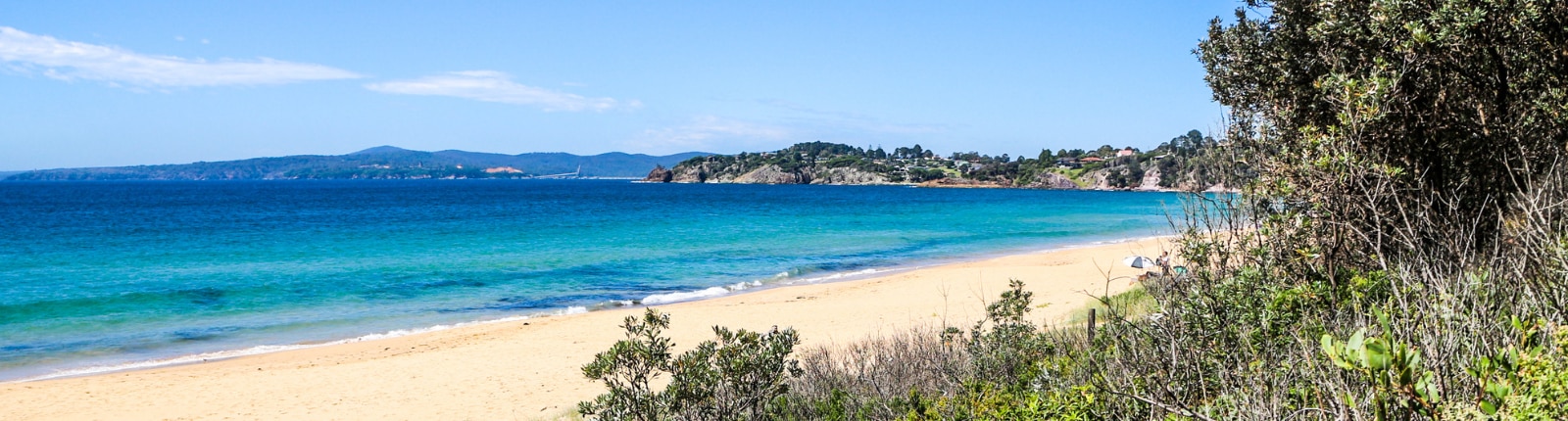 sandy beach with turquoise water and green shrubs under a clear blue sky in eden australia
