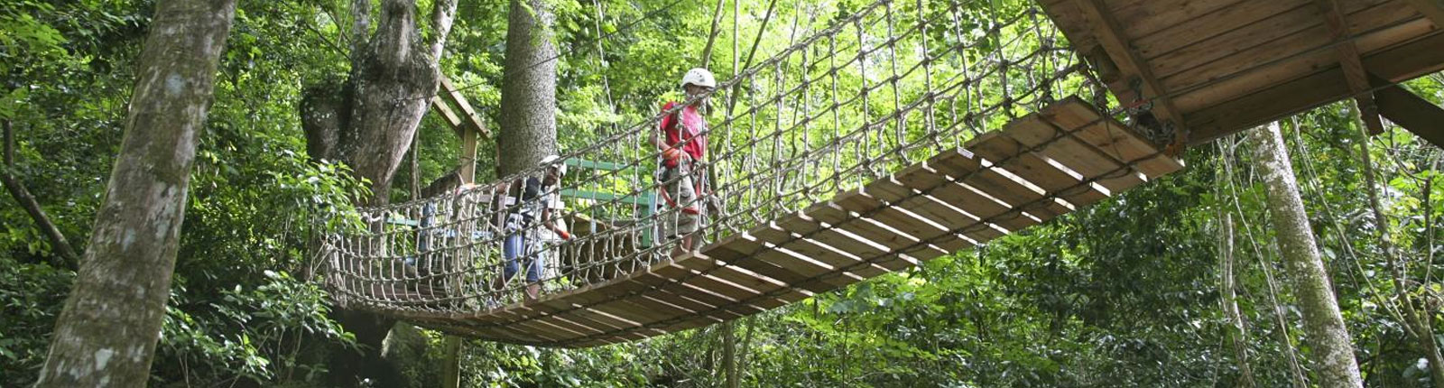 Adventurous rope bridge in the jungle of Antigua
