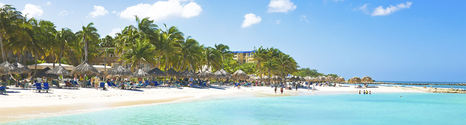 Picture taken while standing in bright blue water on a white sand beach in Aruba