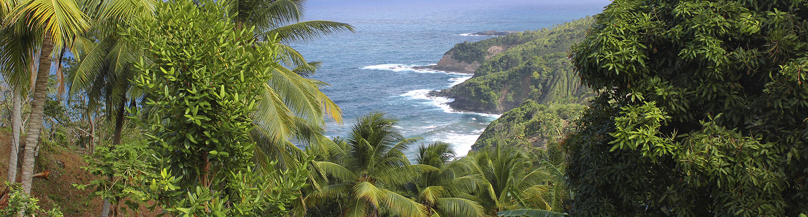 View from the jungle hilltop down to the waters edge of Dominica