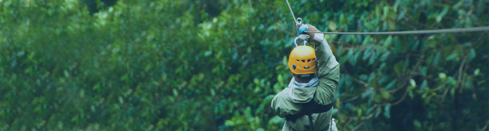 Ziplining through the forest canopy in St. Kitts