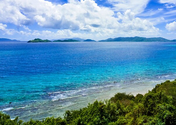 view the blue waters at a secluded beach in st. croix 