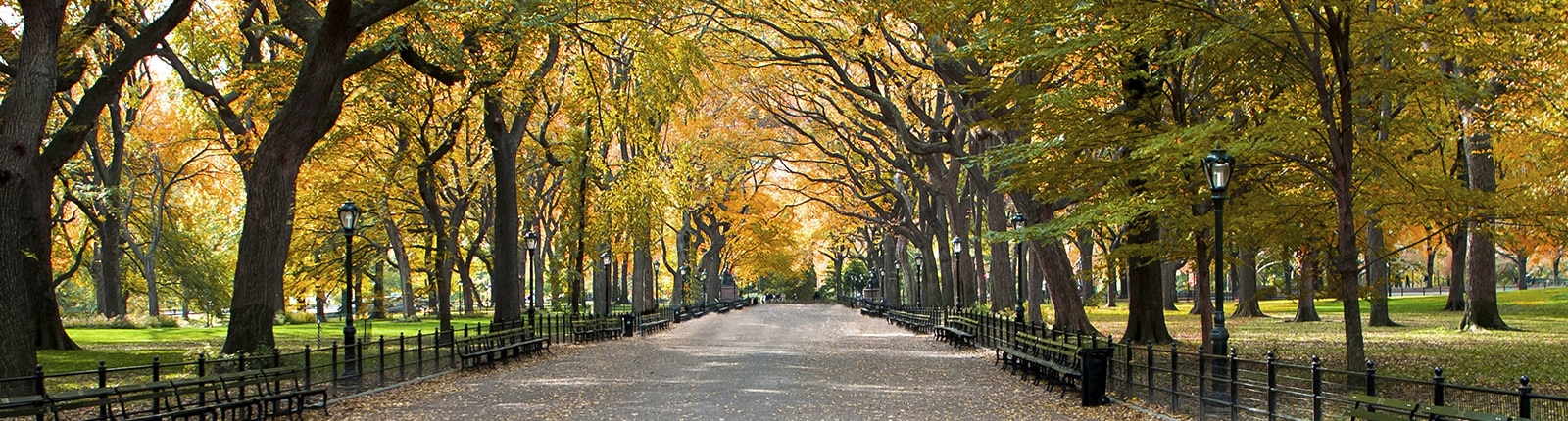 Take a relaxing walk through Central Park