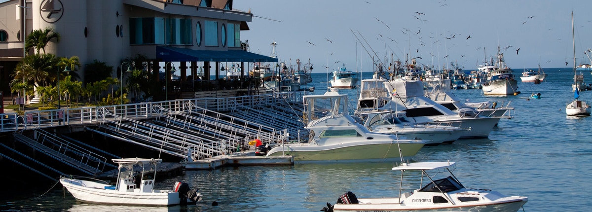 view of the manta harbor