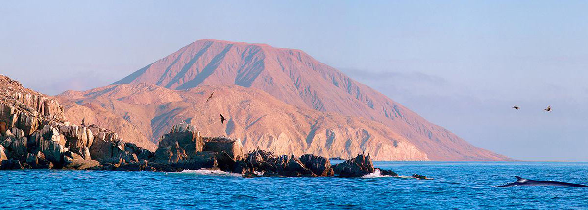 rocky coastline in ensenada