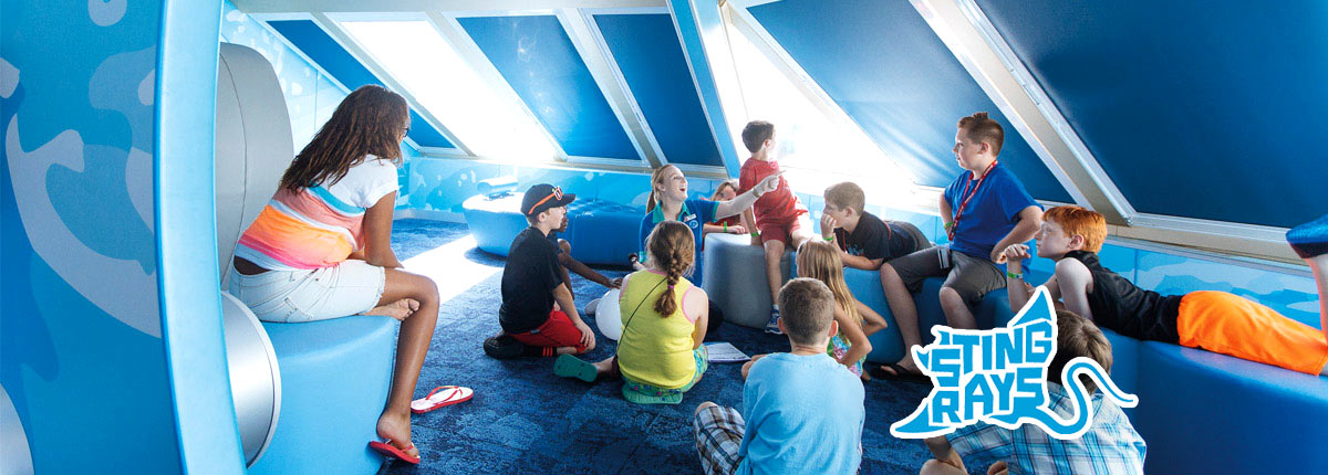 children listening to storys at camp ocean, camp ocean stingrays logo